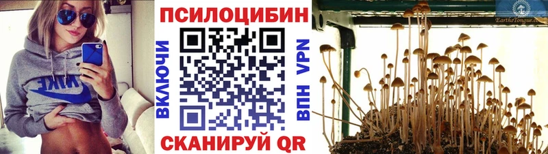 Галлюциногенные грибы Magic Shrooms  Канаш 