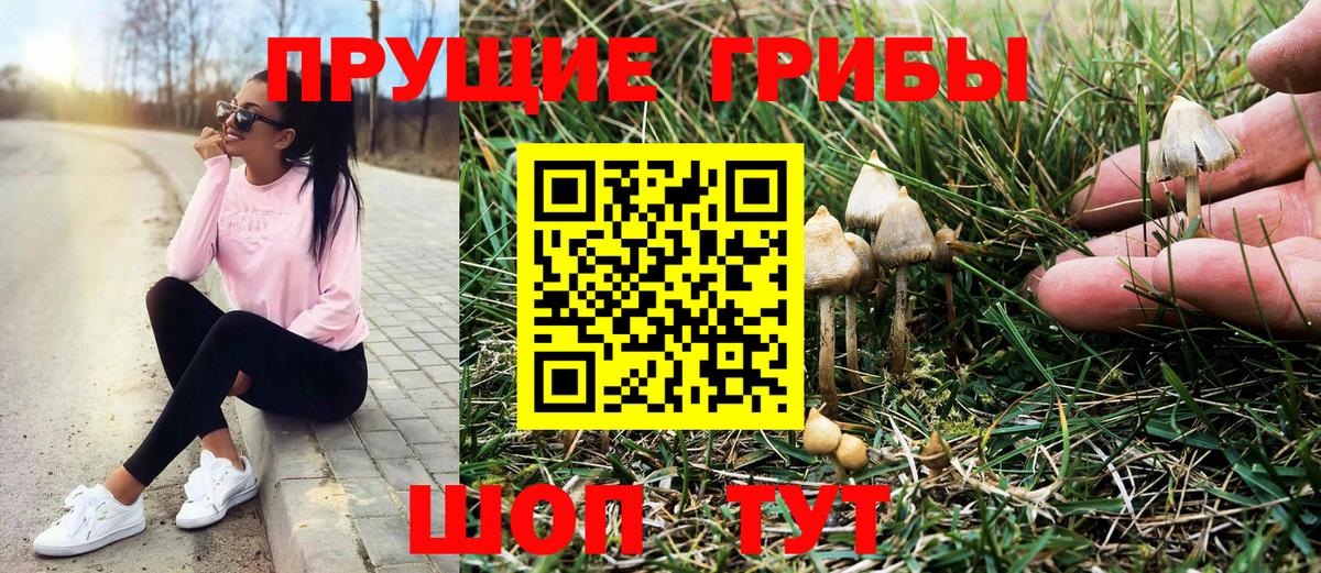 Канаш  Псилоцибиновые грибы GOLDEN TEACHER  Вход с VPN 