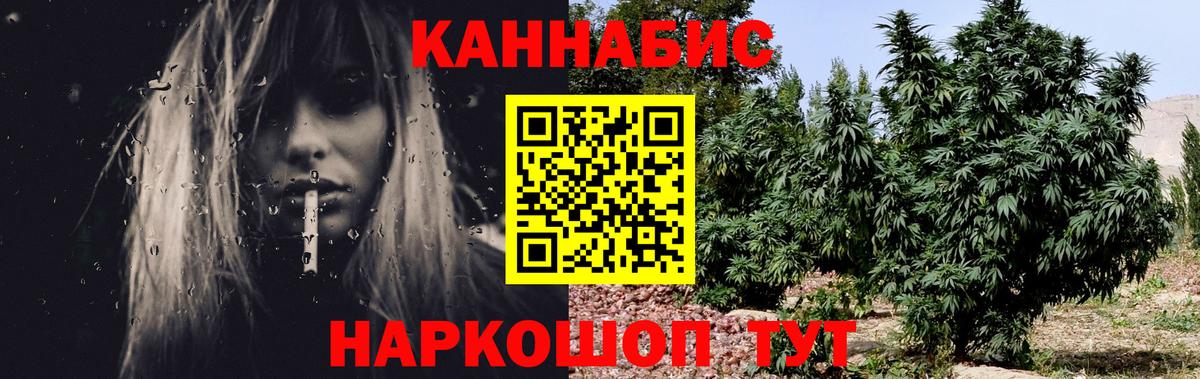 Шишки марихуана марихуана Канаш